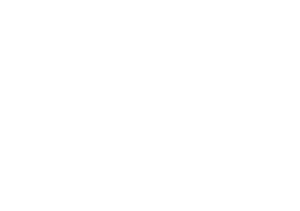 logo white